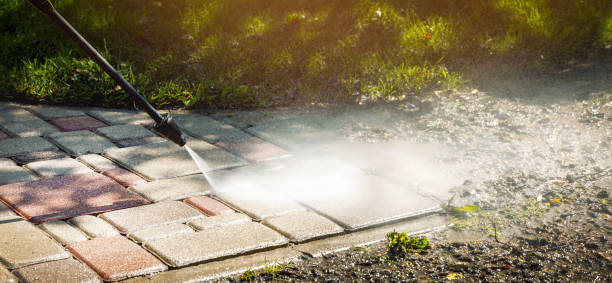 Best Driveway Cleaning and Restoration in Hydesville, CA